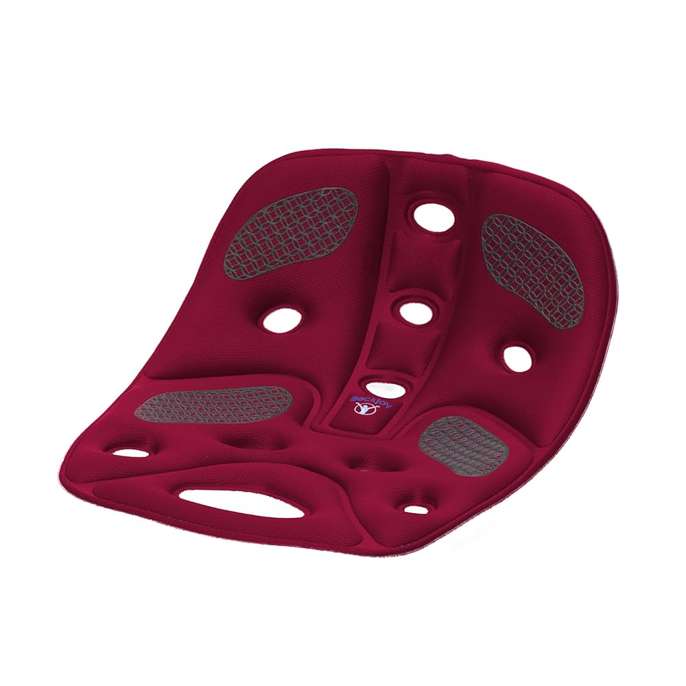 矯正用品・補助ベルト backjoy 81W8hmW1wGL._UF1000,1000_QL80_.jpg